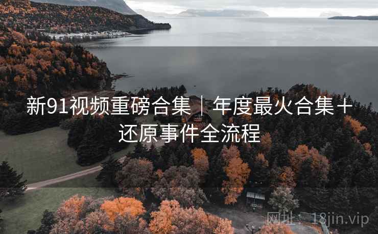 新91视频重磅合集｜年度最火合集＋还原事件全流程