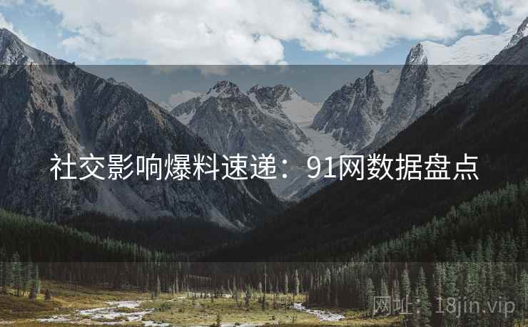 社交影响爆料速递：91网数据盘点  第2张