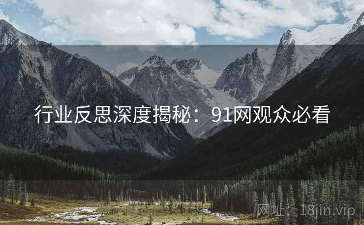 行业反思深度揭秘：91网观众必看