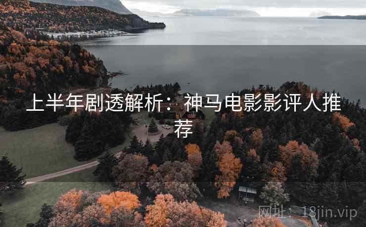 上半年剧透解析：神马电影影评人推荐