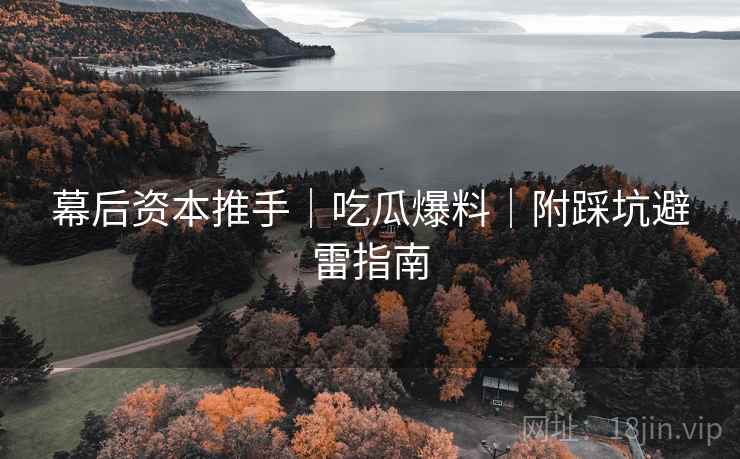 幕后资本推手｜吃瓜爆料｜附踩坑避雷指南