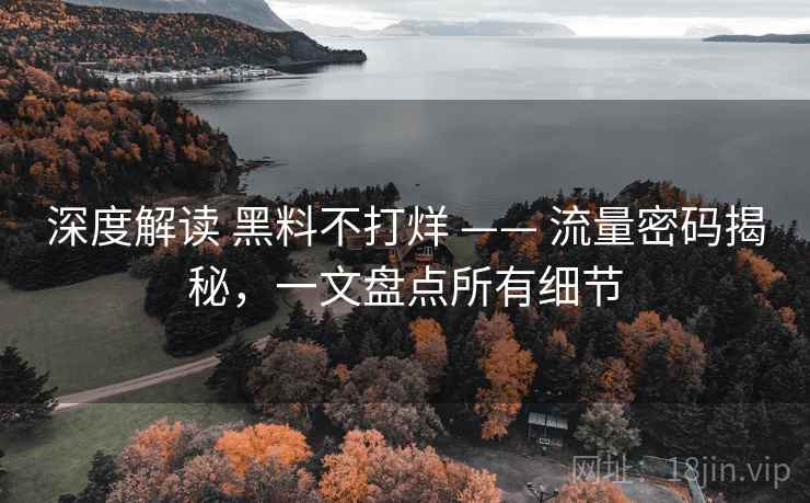 深度解读 黑料不打烊 —— 流量密码揭秘，一文盘点所有细节  第2张